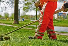 علف تراش یا حاشیه زن، کدام یک بهتر است؟